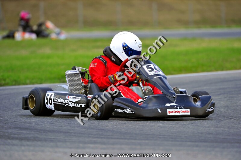 DSC_ (275).jpg